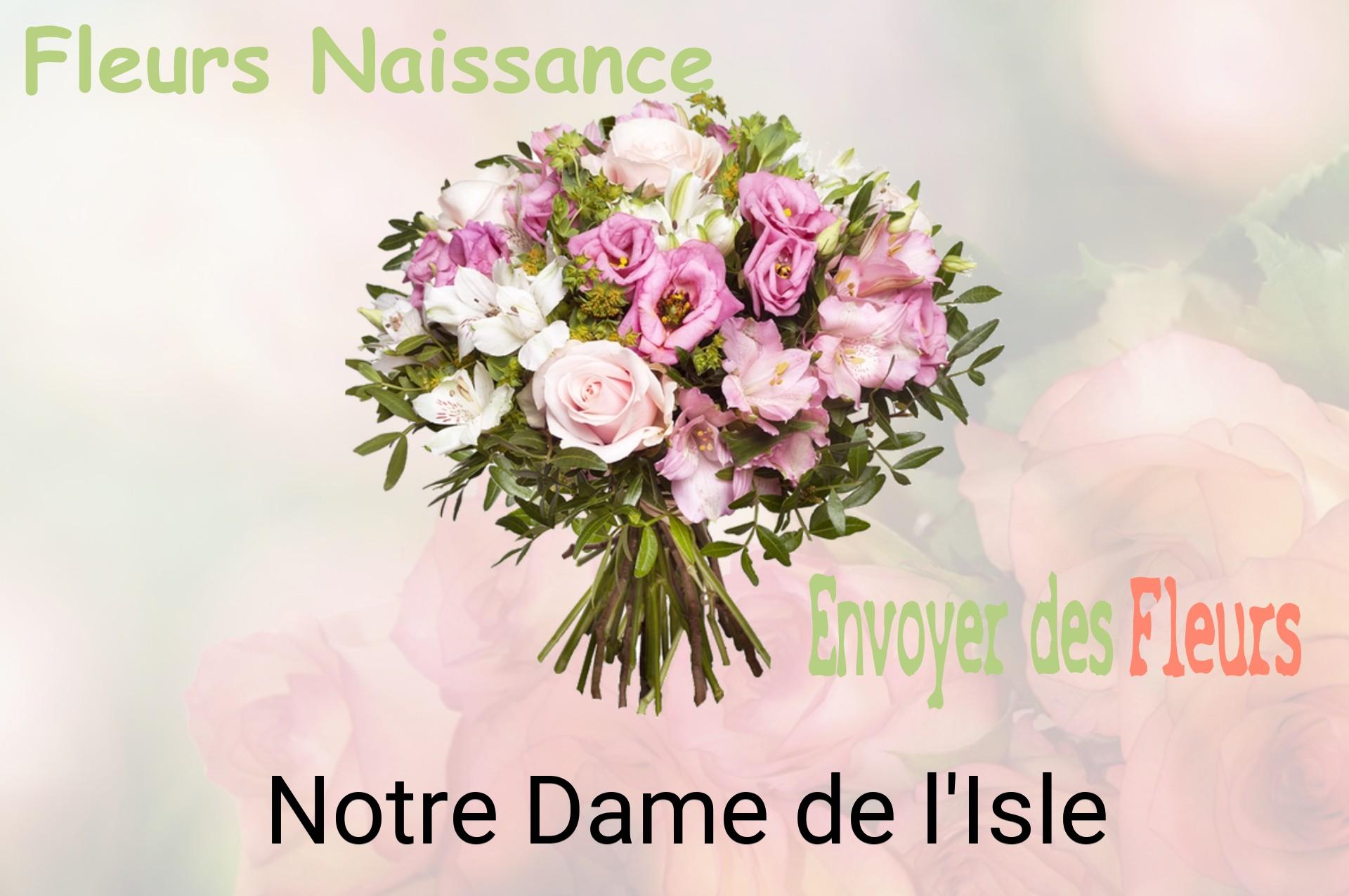 Bouquet de fleurs de naissance livré à Notre-Dame-de-l'Isle
